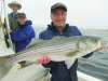 Uncle Jim's striped bass 7-28-13